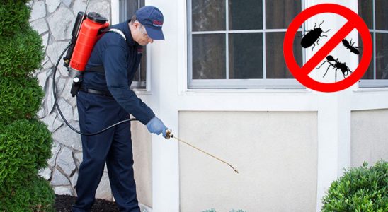 Koyulhisar Haşere İlaçlama böcek ilaçlama ve haşere kontrolü — ilaclama-tr.com